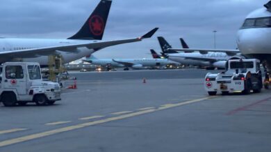 Several passenger jets parked at gates with ground support vehicles on the tarmac, preparing for boarding or service.