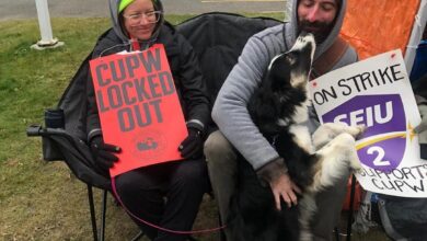 Two protesters sit in folding chairs outside a building, holding a bright red sign reading 'CUPW LOCKED OUT' as a dog stands on its hind legs and kisses one of them.