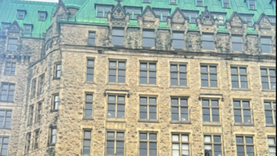 Historic stone building with a green copper roof and many rectangular windows, framed by tree branches at the top,