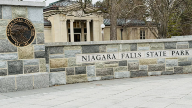 Stone entrance wall reading 'Niagara Falls State Park' with a circular park seal on the left and a neoclassical building beyond, leafless trees in view.