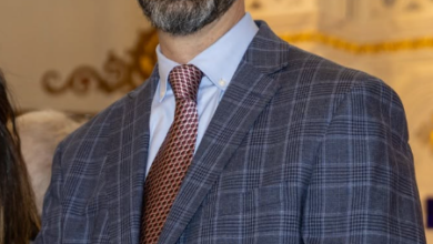 Smiling man in a blue checkered suit and brown tie at a formal event, neutral backdrop with ornate decor behind him.