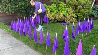 Person in a purple shirt places purple flags along a grassy strip beside a sidewalk in front of a brick building.