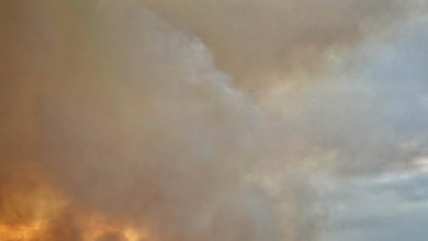 Massive wildfire on a dry plain with dense smoke rising, orange flames along the ground, and distant mountains in the background.